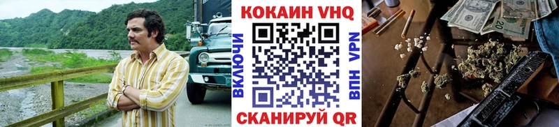 COCAIN Fish Scale  Купить закладки  Гурьевск 