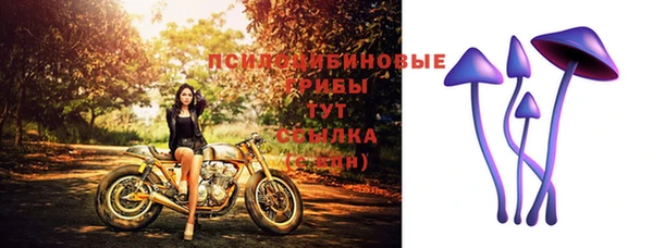 сатива Верхнеуральск
