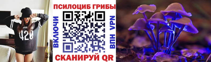 Купить где  Гурьевск  Псилоцибиновые грибы Psilocybine cubensis 